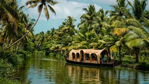 Ayurveda (AP-FB; Single Occupancy; AC Room)