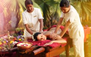 Ayurveda (MAP-HB; Single Occupancy; Non-AC Room)
