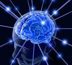 Brain and Mind — What Might Be the Connection?